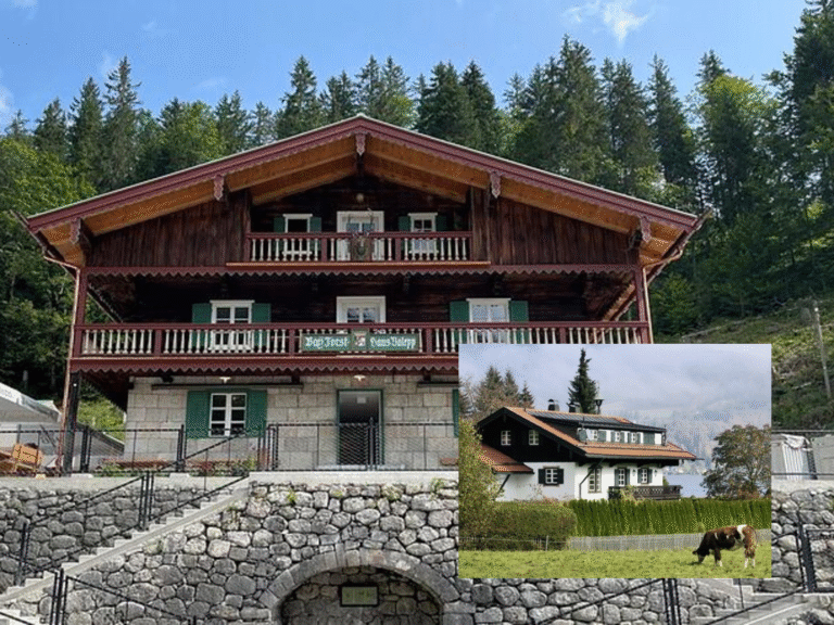 friedrich merz haus tegernsee